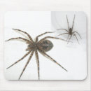 Search for male mousepads Nature