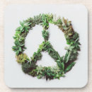 Search for friendly coasters Green