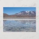 Search for bolivia postcards Flamingos