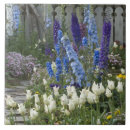 Search for garden path tiles Nature