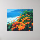 Search for california poppy art Botanical