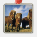 Search for domestic christmas tree decorations Cute