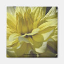 Search for macro flower magnets Yellow