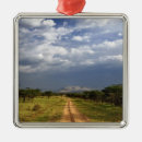 Search for tanzania christmas tree decorations Adam jones