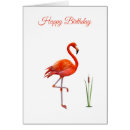 Search for pink flamingo birthday cards Modern