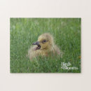 Search for canadian puzzles Goose