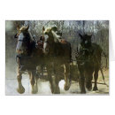 Search for belgians cards Photography