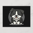 Search for border collie postcards Animal