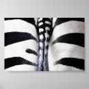 Search for zebra patterns posters Black