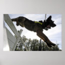 Search for k9 art Police dogs