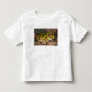Search for frog and toad clothing Amphibian