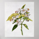 Search for laing posters White