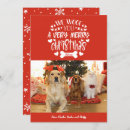 Search for pet lover christmas cards Snowflakes
