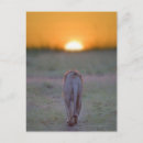 Search for rear view postcards Full length