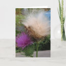 Search for thistle cards Nature
