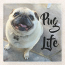 Search for adorable coasters Dog