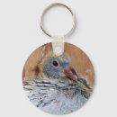 Search for coop key rings Bird