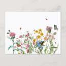 Search for spring wildflowers postcards Garden