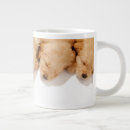 Search for golden retriever puppy mugs Cute