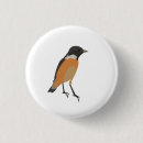 Search for bird badges Illustration