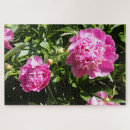 Search for peony puzzles Flowers