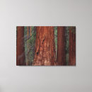 Search for tree bark art Foliage