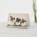 Search for three dogs cards Cute
