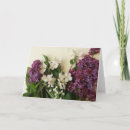 Search for flower arrangement cards Blank