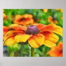 Search for coneflower art Yellow