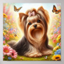 Search for yorkshire terrier posters Yorkie