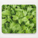 Search for marigold mousepads Photography