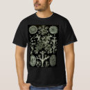 Search for lichen tshirts Moss