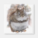 Search for squirrel magnets Critters