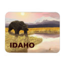 Search for grizzly magnets Nature