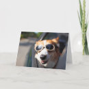 Search for goggle cards Pet