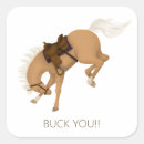 Search for bucking horse stickers Rodeo