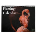 Search for flamingo calendars Photography