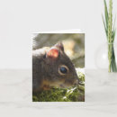 Search for fuzzy cards Wildlife