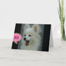 Search for pom dog cards Cute