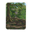 Search for fungus magnets Forest