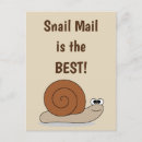 Search for snail postcards Cute