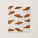 Search for goldfish puzzles Animal