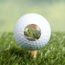 Search for kiwi golf balls Green