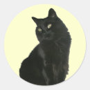 Search for longhair stickers Cat