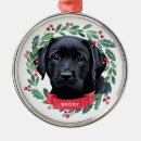 Search for lab christmas tree decorations Dog lover