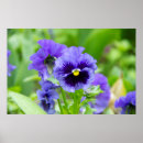 Search for beautiful spring posters Design