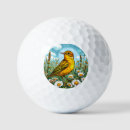 Search for bird golf balls Colourful