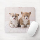 Search for pet sitting electronics Canine
