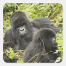 Search for mcdonald stickers Herbivore