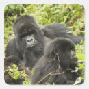 Search for mcdonalds stickers Joe